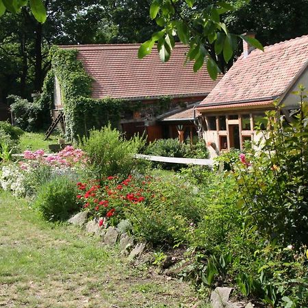 Poncet'Sches Herrenhaus Dresde Extérieur photo