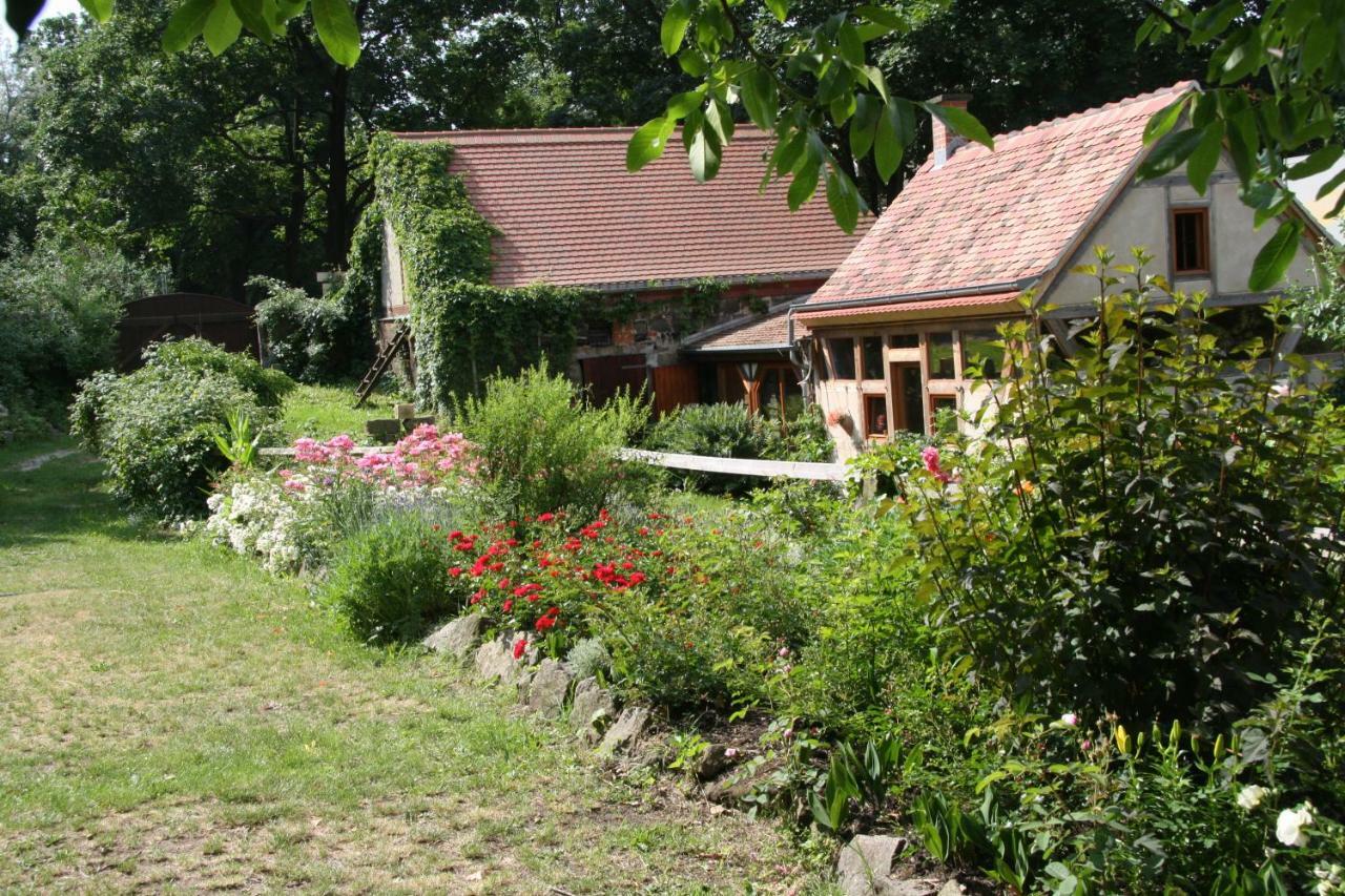 Poncet'Sches Herrenhaus Dresde Extérieur photo